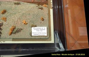 41 SANTA POLA ANTIQUE MUSEE (43)